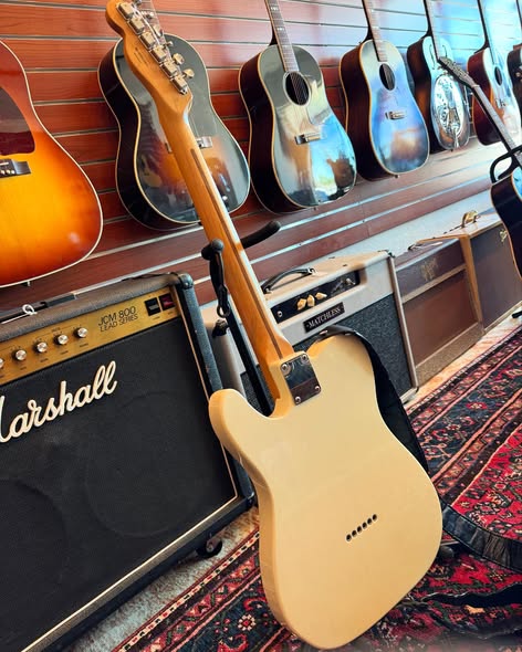 Early 60s James Burton Tele Reissue Back Early 60s James Burton Tele Reissue Back