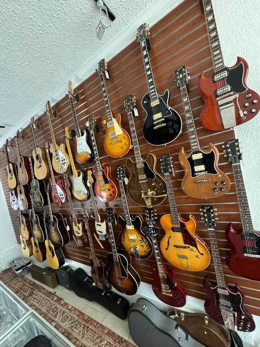 Intro Image at Redwoods Vintage Guitars St. Pete