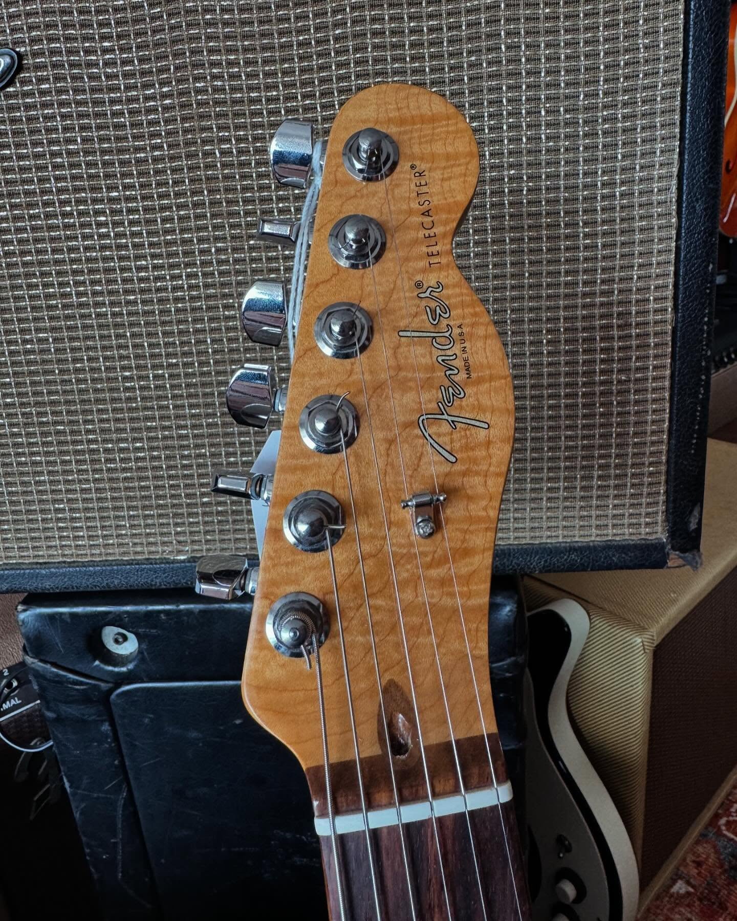 Special Edition USA Fender Telecaster, Cognac Swamp Ash Headstock at Redwoods Vintage Guitars St. Pete Florida