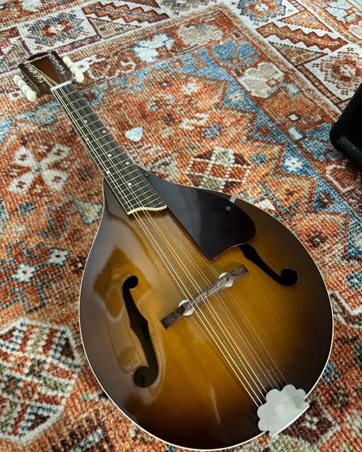 1960’s Harmony Solid Top Mandolin at Redwoods Vintage Guitars St Pete Florida