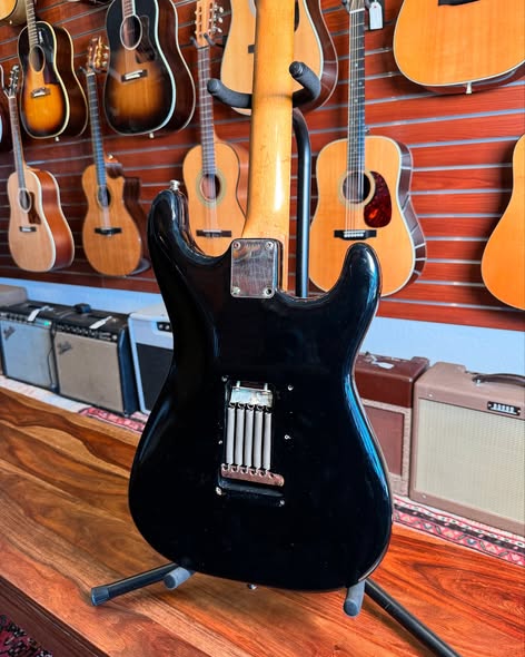 1961 Stratocaster Project at Redwoods Vintage Guitars St Pete Florida Back 1961 Stratocaster Project at Redwoods Vintage Guitars St Pete Florida