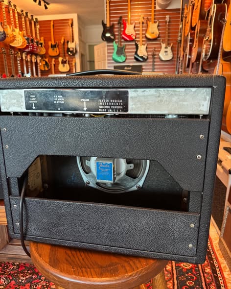 1967 Drip Edge Fender Champ at Redwoods Vintage Guitars St Pete Florida Back