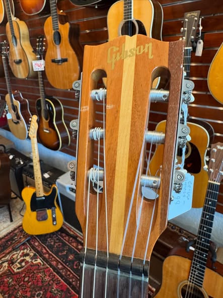 1967 Gibson C-0 Classical Acoustic at Redwoods Vintage Guitars St Pete Florida Headstock 1967 Gibson C-0 Classical Acoustic at Redwoods Vintage Guitars St Pete Florida