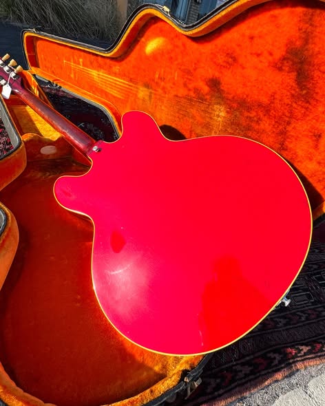 1967 Gibson ES-335 at Redwoods Vintage Guitars St Pete Florida Back 1967 Gibson ES-335 at Redwoods Vintage Guitars St Pete Florida Back