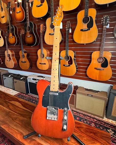 1974 Telecaster Brown Burst 2 at Redwoods Vintage Guitars St Pete Florida