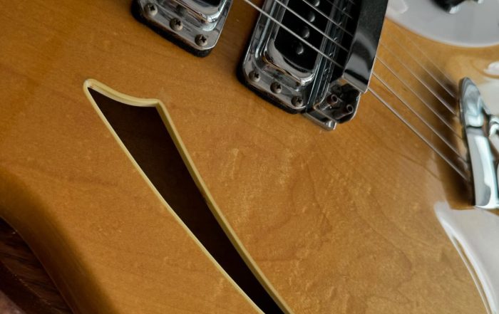 1986 Rickenbacker 370 at Redwoods Vintage Guitars St. Pete Florida Body