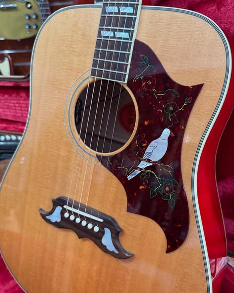 2022 Gibson Custom Shop Dove at Redwoods Vintage Guitars St Pete Florida front
