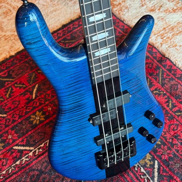 40th Anniversary Stuart Spector Euro Bass Solid Flame Blue Stain at Redwoods Vintage Guitars St Pete Florida