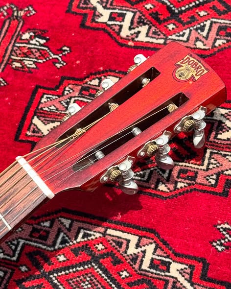 Dobro Florentine Cutaway at Redwoods Vintage Guitars St Pete Florida Headstock Dobro Florentine Cutaway at Redwoods Vintage Guitars St Pete Florida Headstock