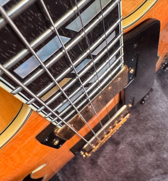 Eastman T185M Flamed Maple Redwoods Vintage Guitars St Pete Florida neck