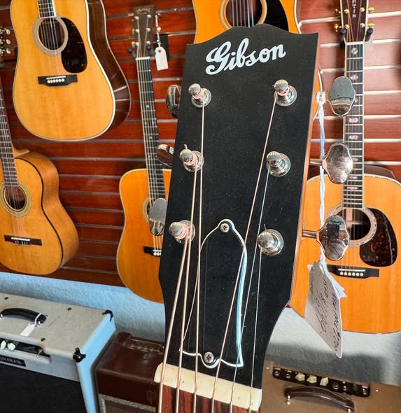 Gibson J-35 Reissue at Redwoods Vintage Guitars St Pete Florida Headstock Gibson J-35 Reissue at Redwoods Vintage Guitars St Pete Florida Headstock