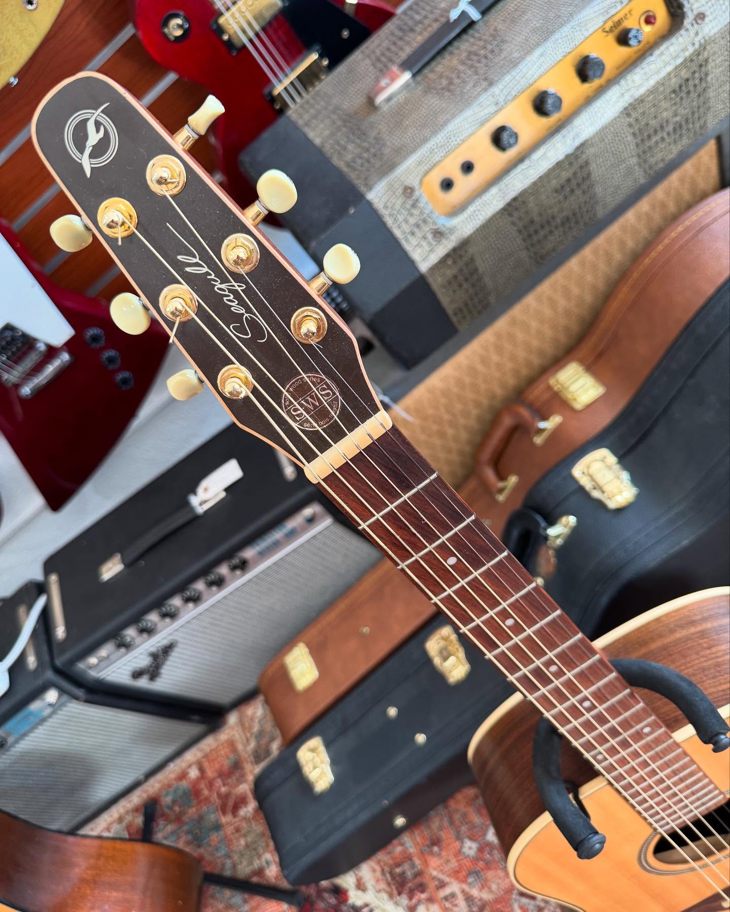 Handmade in Canada Solid Wood Seagull Maritime at Redwoods Vintage Guitars St Pete Florida headstock Handmade in Canada Solid Wood Seagull Maritime at Redwoods Vintage Guitars St Pete Florida headstock