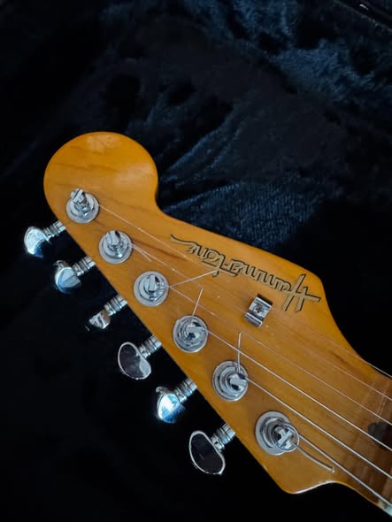 Tele-Bird #2 at Redwoods Vintage Guitars St Pete Florida
