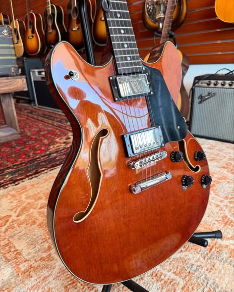 Schecter Corsair at Redwoods Vintage Guitars St Pete Florida