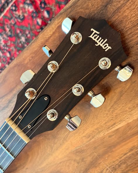 Taylor 214ce Plus Rosewood Model Acoustic Electric at Redwoods Vintage Guitars St Pete Florida headstock Taylor 214ce Plus Rosewood Model Acoustic Electric at Redwoods Vintage Guitars St Pete Florida headstock