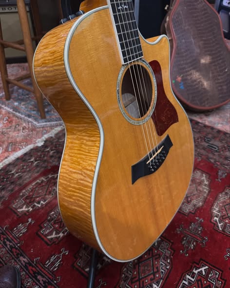 Taylor XII at Redwoods Vintage Guitars St Pete Florida