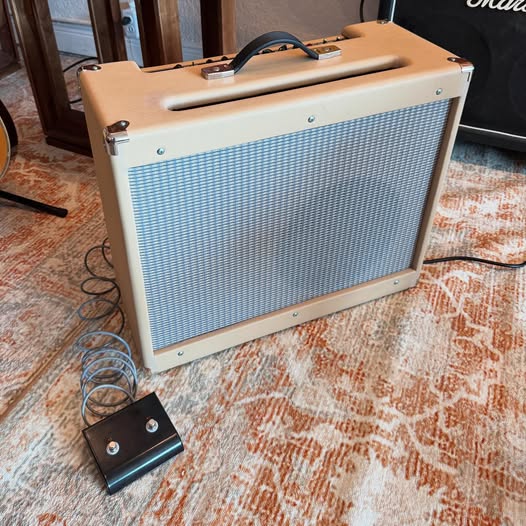 USA Trinity Amps Over Drive Special Dumble Clone at Redwoods Vintage Guitars St Pete Florida