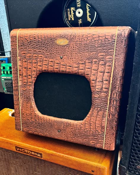 Vintage Supro 1950’s Chicago Amp at Redwoods Vintage Guitars St Pete Florida