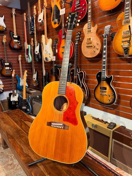 1966 Gibson J-50