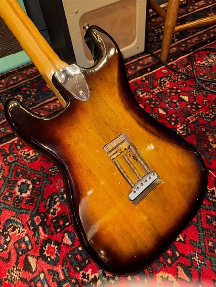 1976 Fender Stratocaster at Redwoods Vintage Guitars St Pete Florida back 1976 Fender Stratocaster at Redwoods Vintage Guitars St Pete Florida