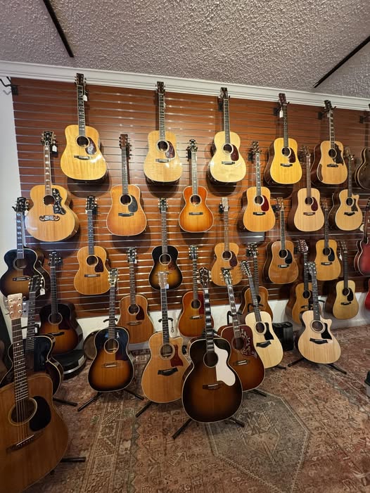 Acoustics Happiness at Redwoods Vintage Guitars St Pete Florida