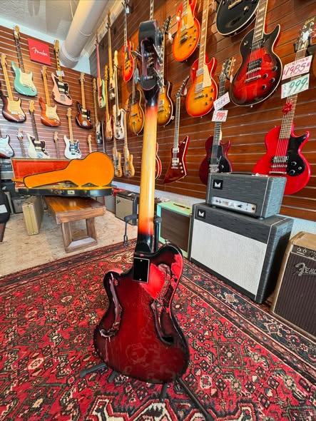 Ampeg Scroll Bass at Redwoods Vintage Guitars St Pete Florida back Ampeg Scroll Bass at Redwoods Vintage Guitars St Pete Florida