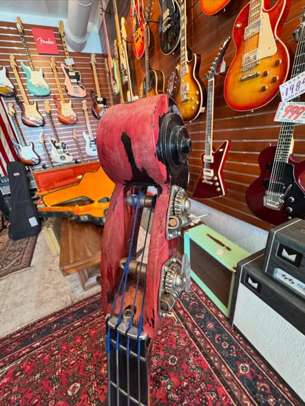 Ampeg Scroll Bass at Redwoods Vintage Guitars St Pete Florida headstock Ampeg Scroll Bass at Redwoods Vintage Guitars St Pete Florida