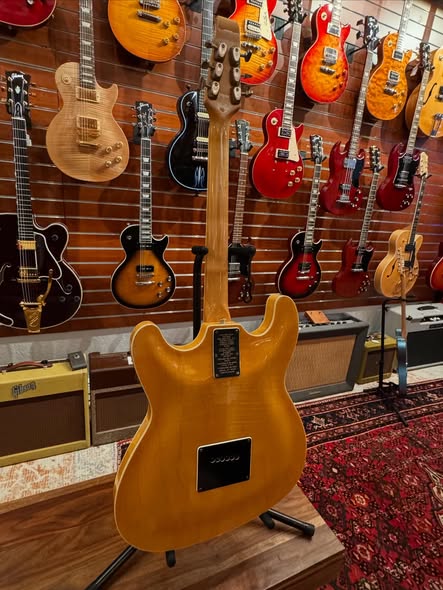 Burns Vibra-Slim at Redwoods Vintage Guitars St Pete Florida