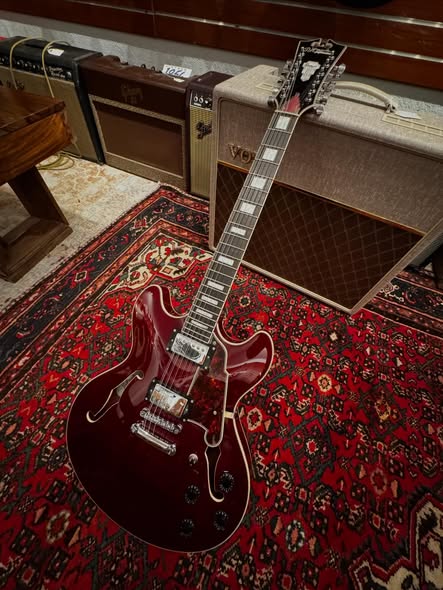 D’Angelico 12 String Electric at Redwoods Vintage Guitars St Pete Florida body D'Angelico 12 String Electric at Redwoods Vintage Guitars St Pete Florida