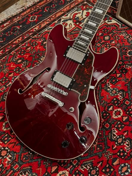 D'Angelico 12 String Electric at Redwoods Vintage Guitars St Pete Florida