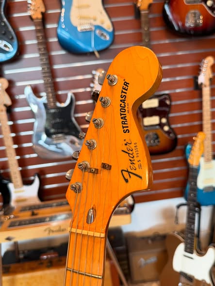 Fender 1979 Stratocaster Hard Tail at Redwoods Vintage Guitars St Pete Florida