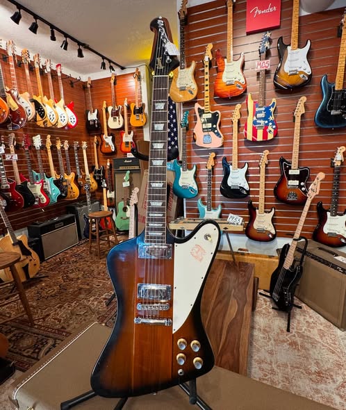 Gibson Firebird V