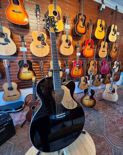 Gretsch Black Falcon Acoustic at Redwoods Vintage Guitars St Pete Florida