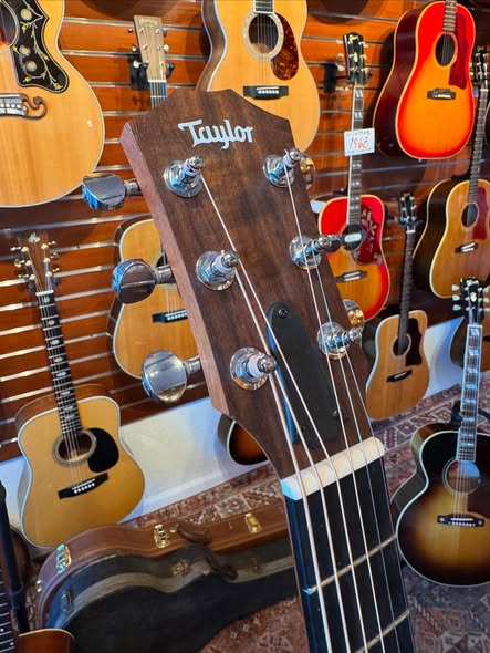 Taylor GS Mahogany at Redwoods Vintage Guitars St Pete Florida Headstock Taylor GS Mahogany at Redwoods Vintage Guitars St Pete Florida