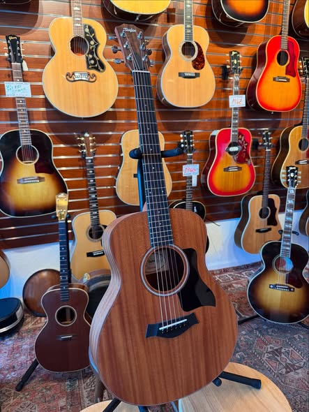 Taylor GS Mahogany at Redwoods Vintage Guitars St Pete Florida Taylor GS Mahogany at Redwoods Vintage Guitars St Pete Florida