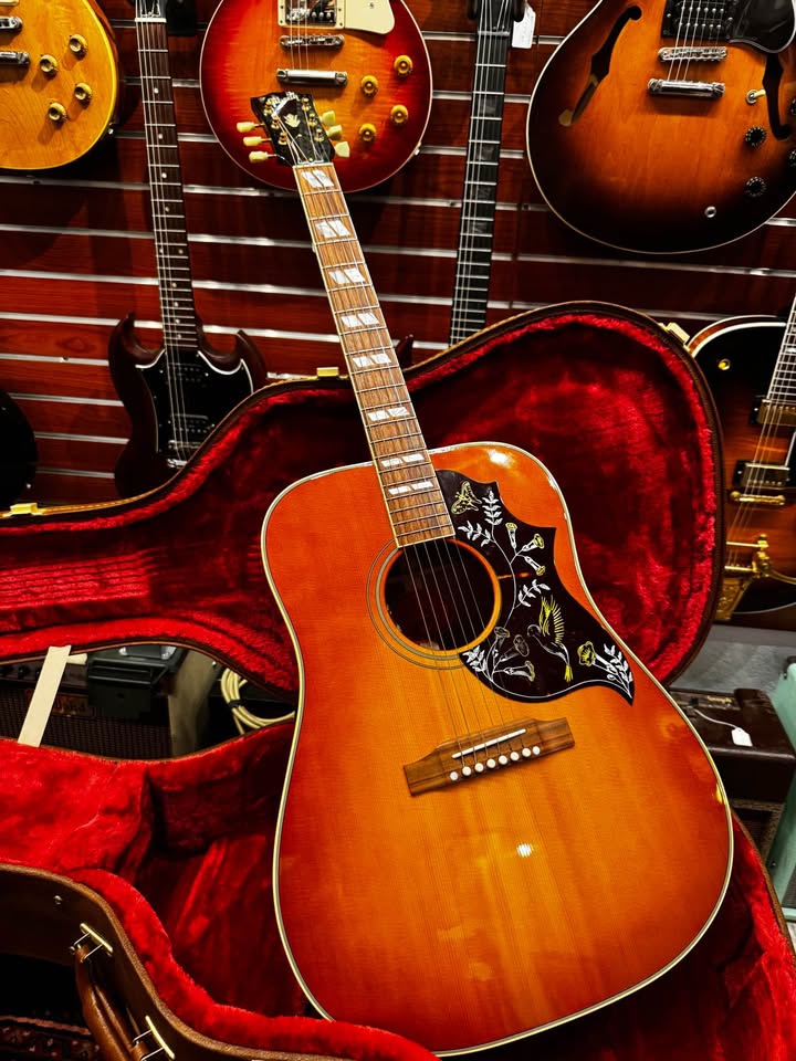 Gibson Acoustic Guitars stpete Florida