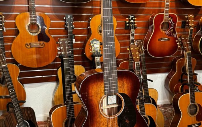 Jeff Tweedy Martin Guitars Tampa Stpete Florida